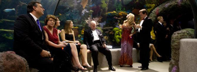 15th Annual Commotion in the Ocean Gala: Live Painting, Cocktails and Black Tie! - Stephie Jones Art