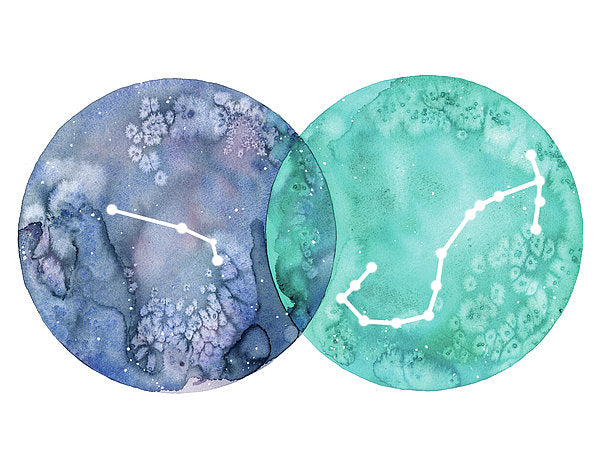 Aries And Scorpio - Art Print painting by Virginia Beach Artist Stephie Jones